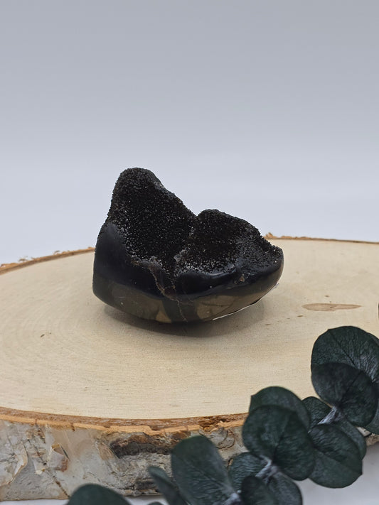 Septarie Freiform 🤎 LT14