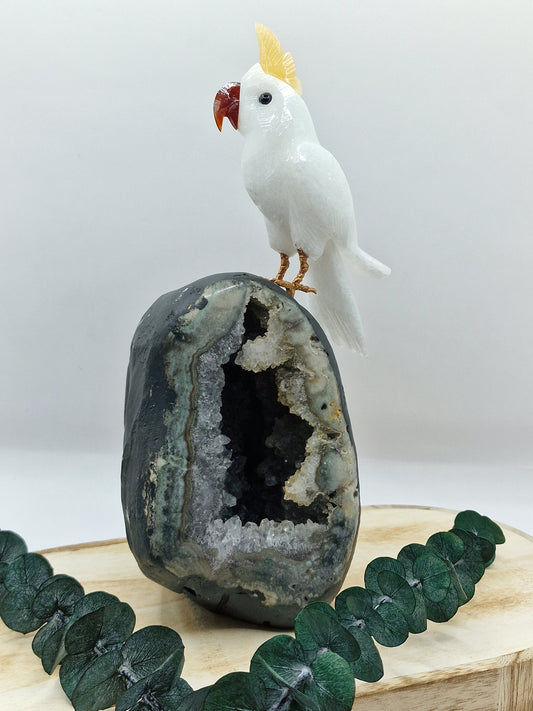 Kakadu auf Amethystgeode 🐦 VB159