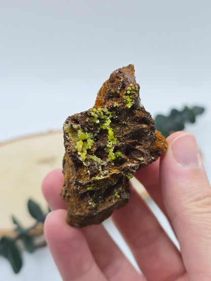 Pyromorphit 💚 PA16