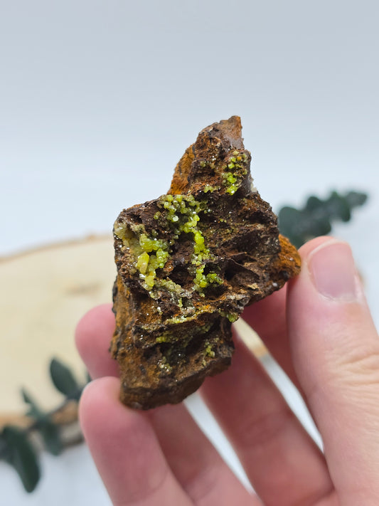 Pyromorphit 💚 PA16