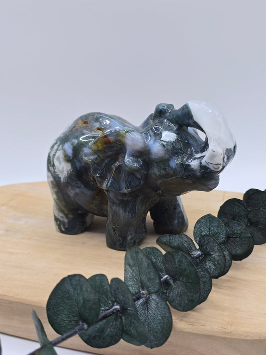 Moosachat Elefant 🍃 BP109