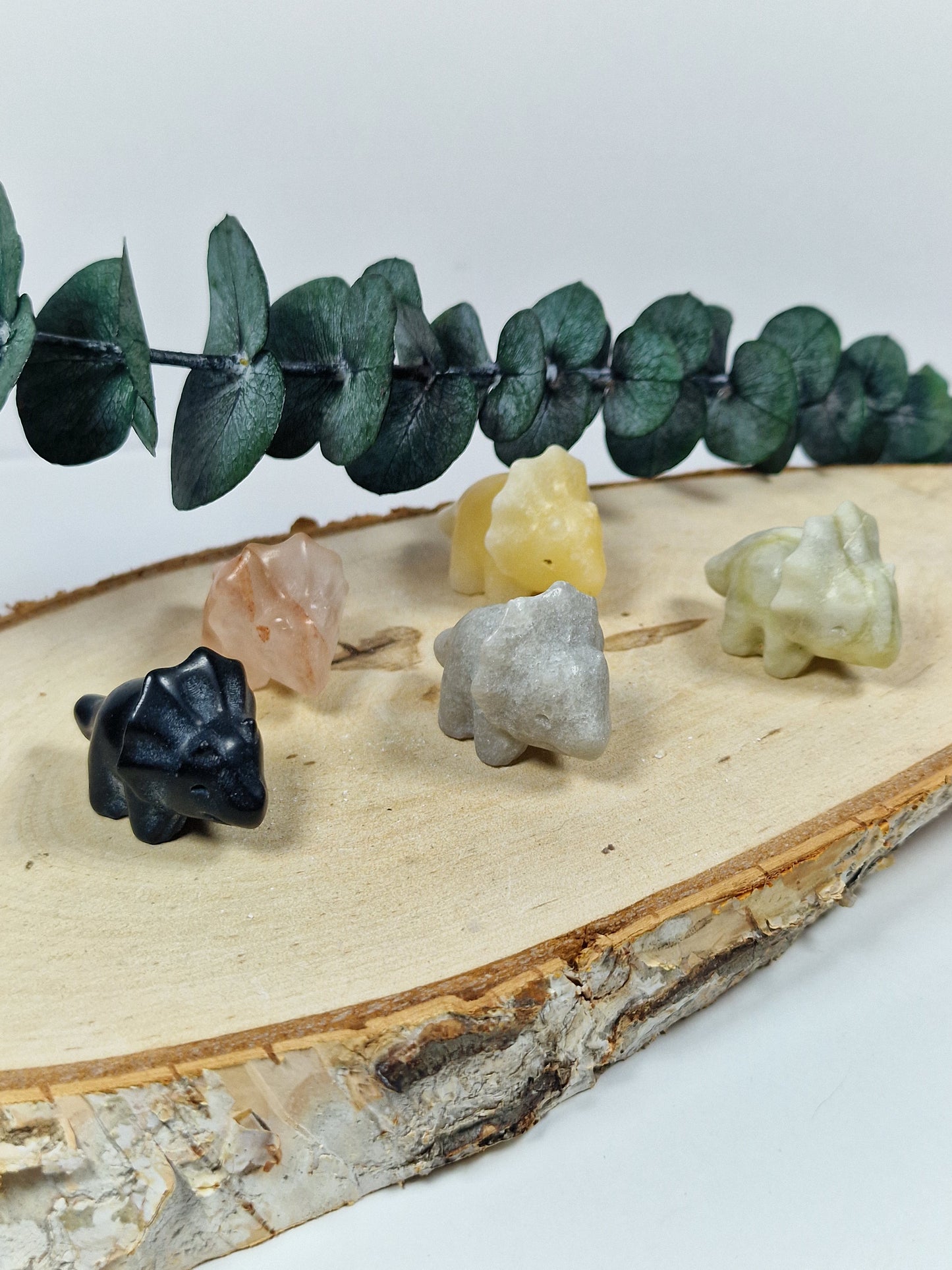 Triceratops/Dinos 🦕