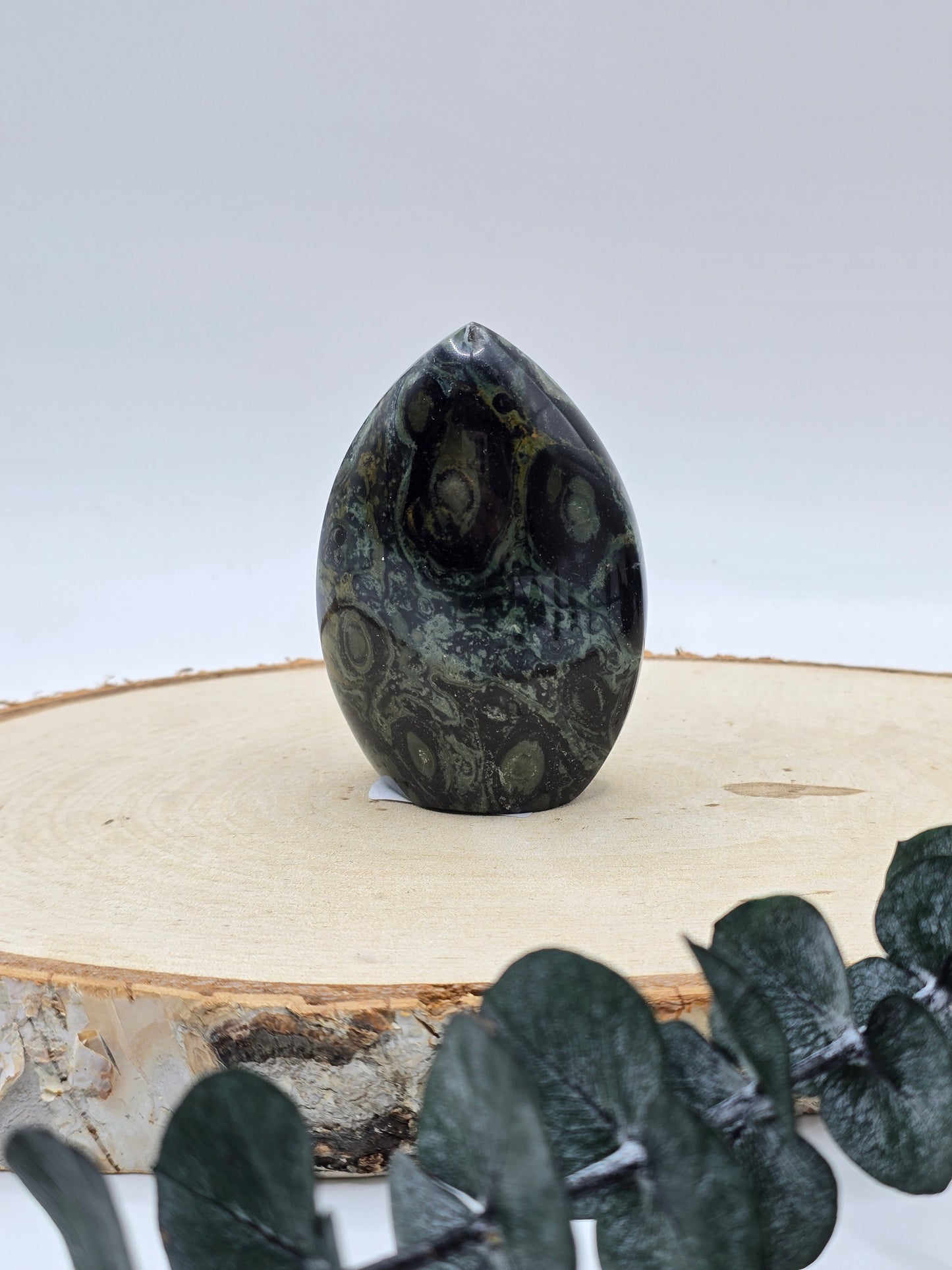 Kambaba Jaspis/Eldarit Freiform 💚 KB16