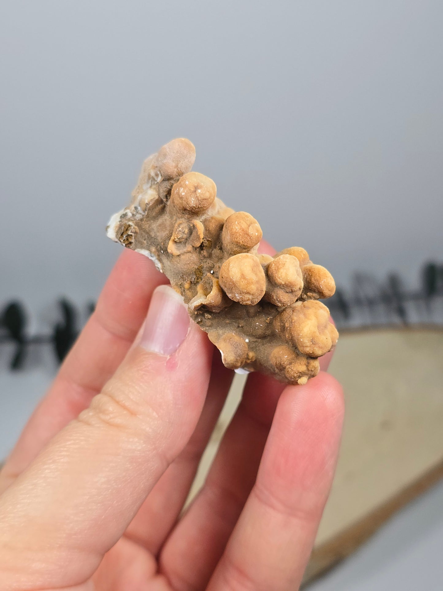 Calcit Stalaktit – Das Tropfenkunstwerk der Natur 🤍