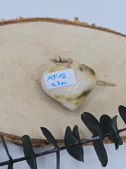 Mookait Herz 🍁 MF12