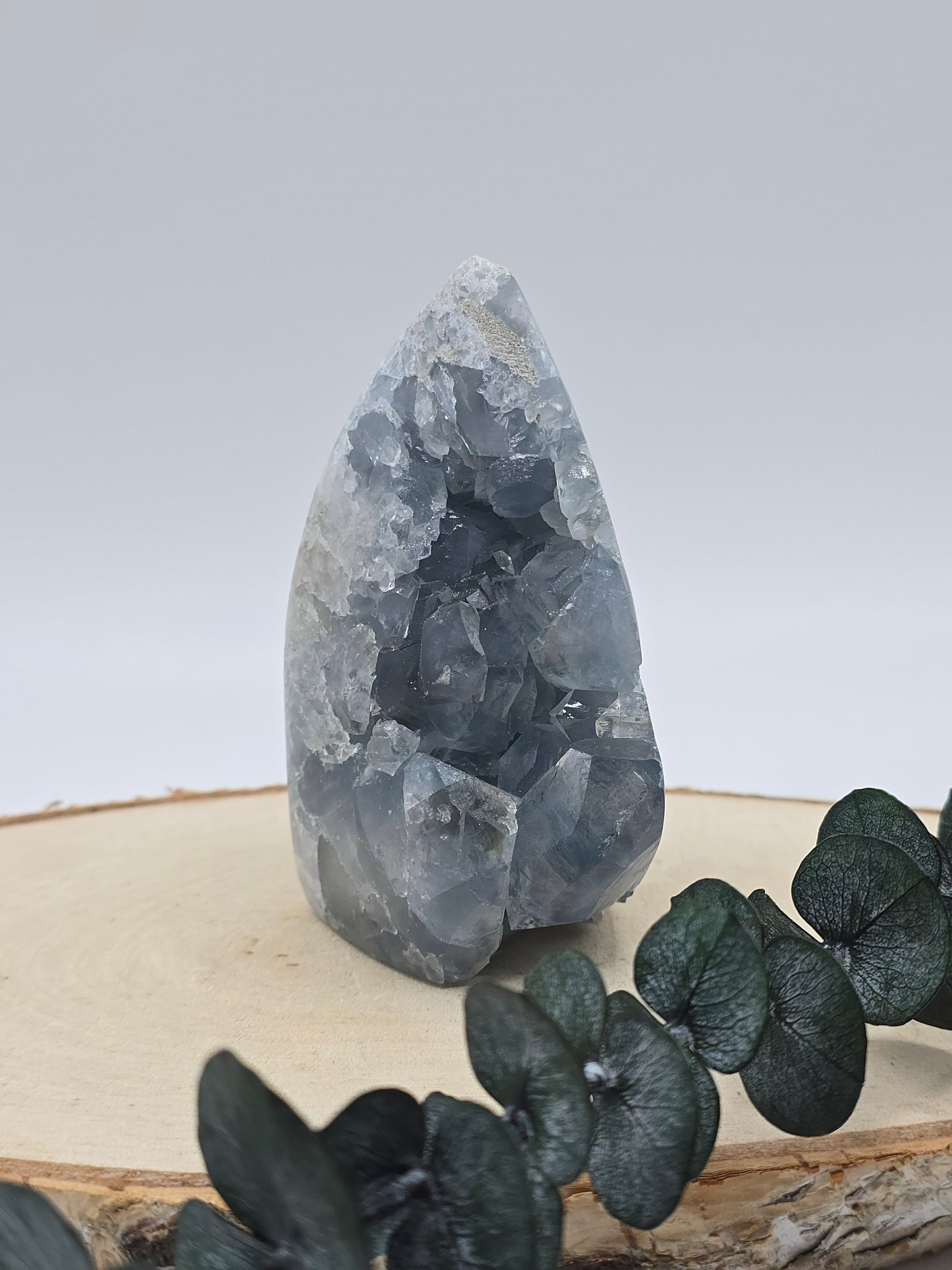 Coelestin Turm 💙 KI36