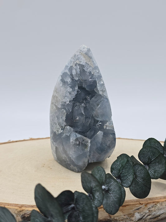 Coelestin Turm 💙 KI36