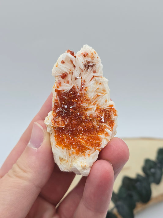 Vanadinit auf Baryt aus Marokko 🔥 21 – 68€