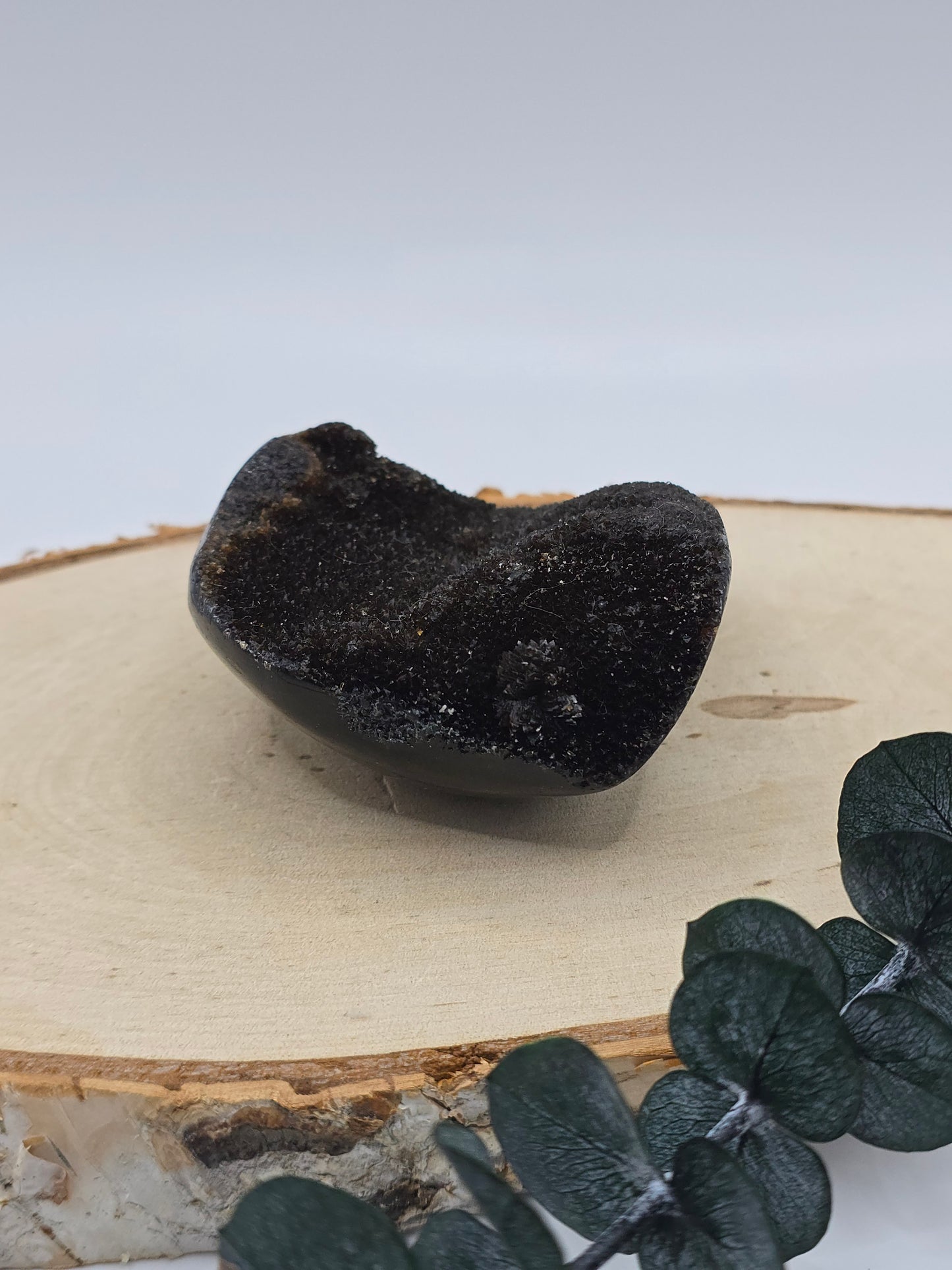 Septarie Freiform 🤎 LU15