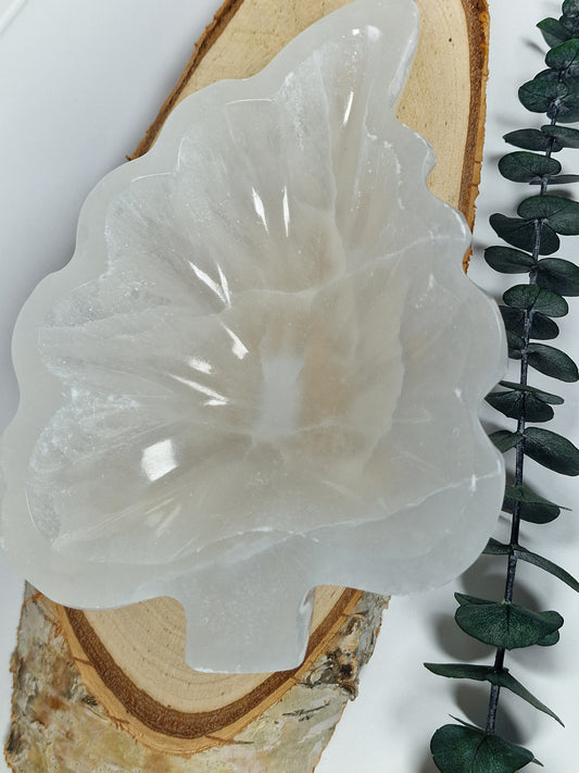 Selenitschale Blatt 🌿 B32