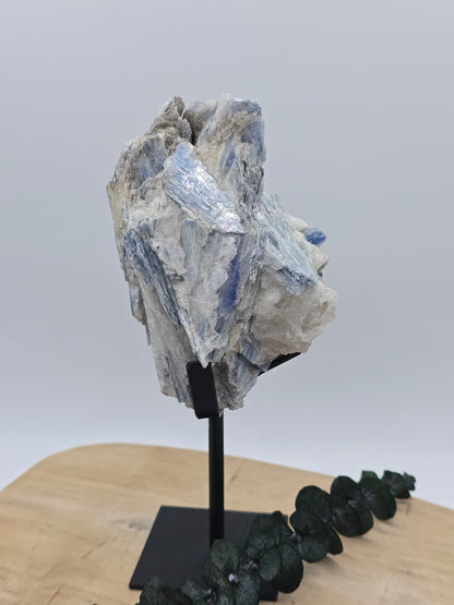 Kyanit auf Stand 💙 R59