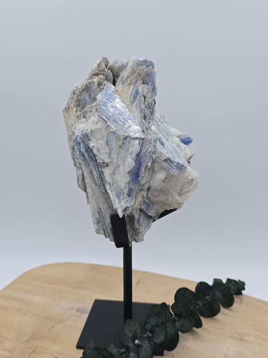 Kyanit auf Stand 💙 R59