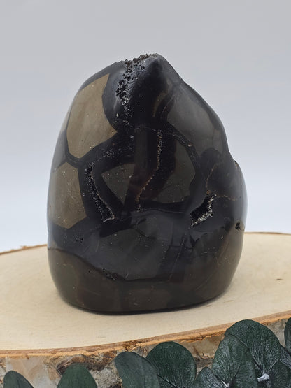 Septarie Freiform 🤎 KA81