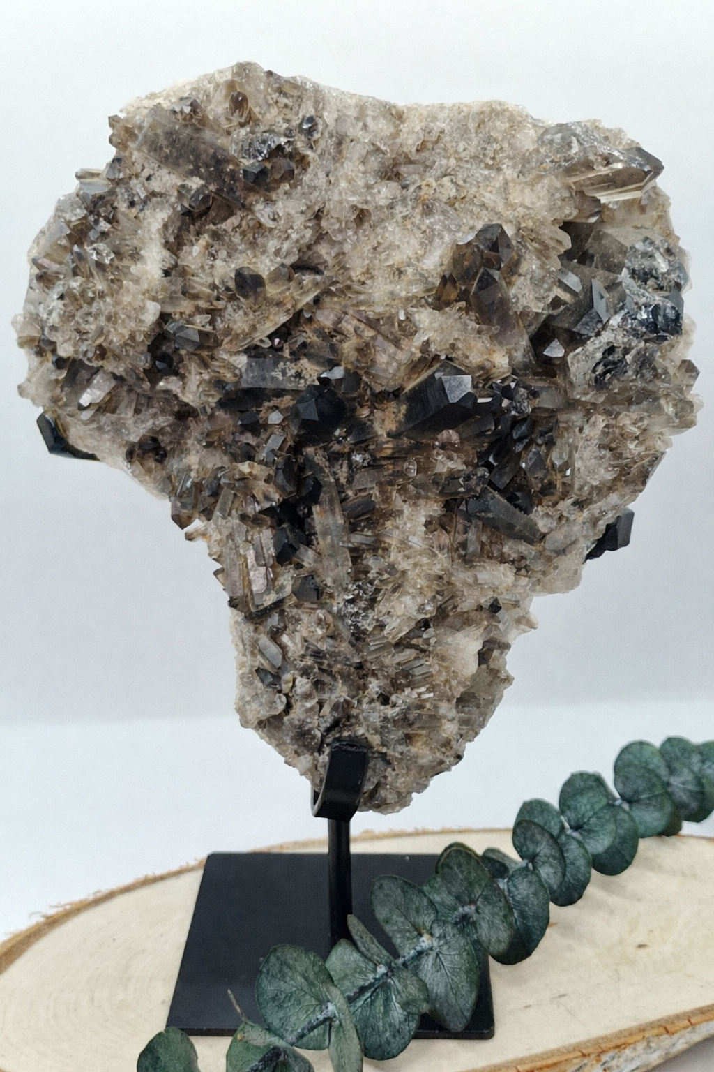 Rauchquarz Cluster auf Stand 🤎 RH145
