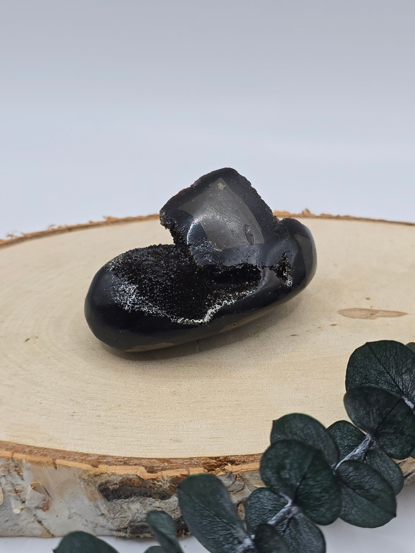 Septarie Freiform 🤎 LN9