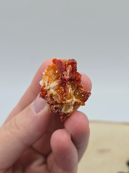 Vanadinit auf Baryt aus Marokko 🔥 7 – 20€