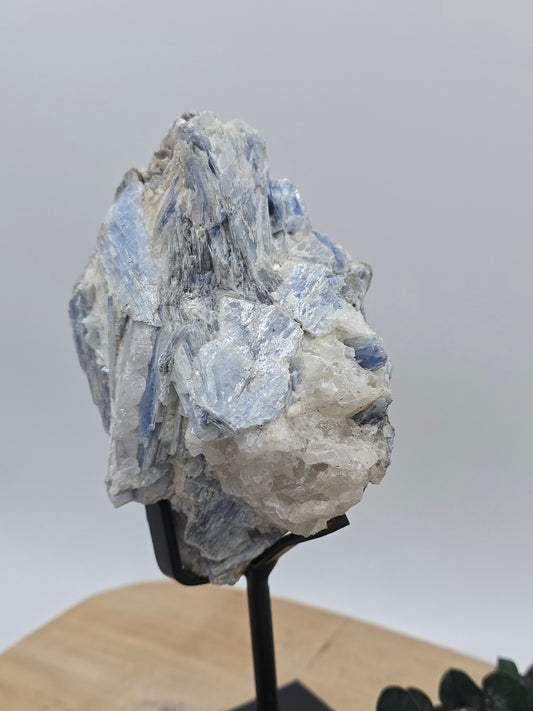 Kyanit auf Stand 💙 R59