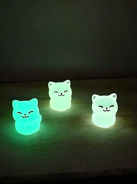 Leuchtende Katzen 🐈