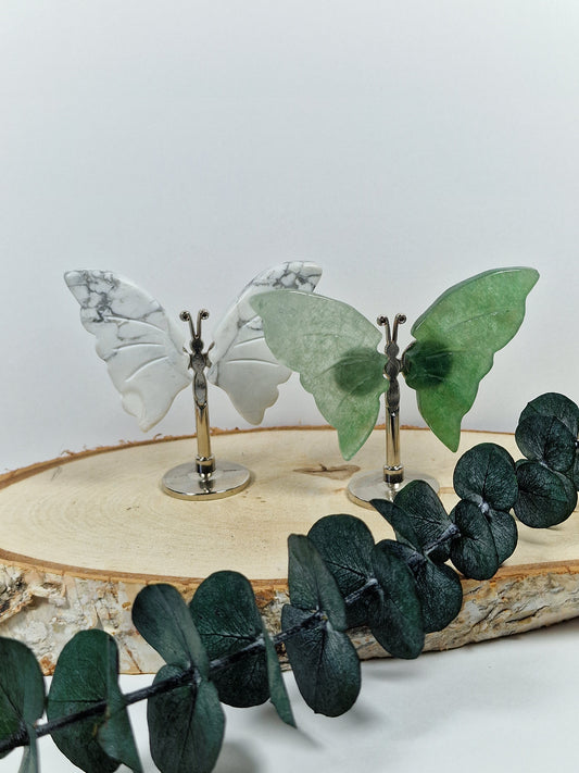 Mini Schmetterlinge 🦋