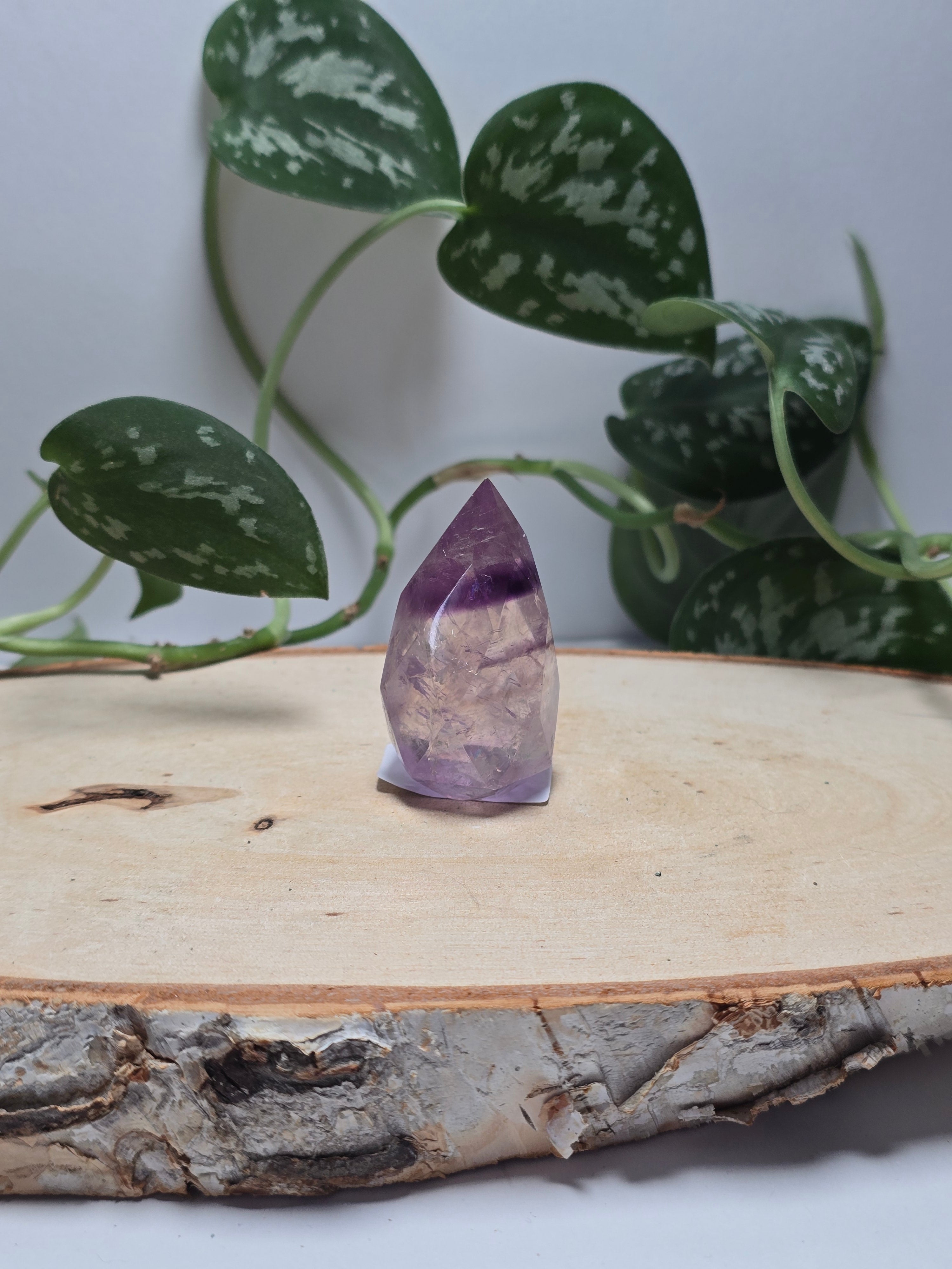 Facettierte Amethyst Spitzen 💜