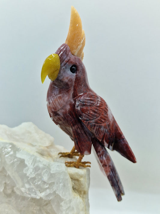 Kakadu auf Bergkristall 🐦 VG143