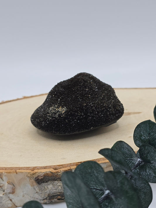 Septarie Freiform 🤎 LO14