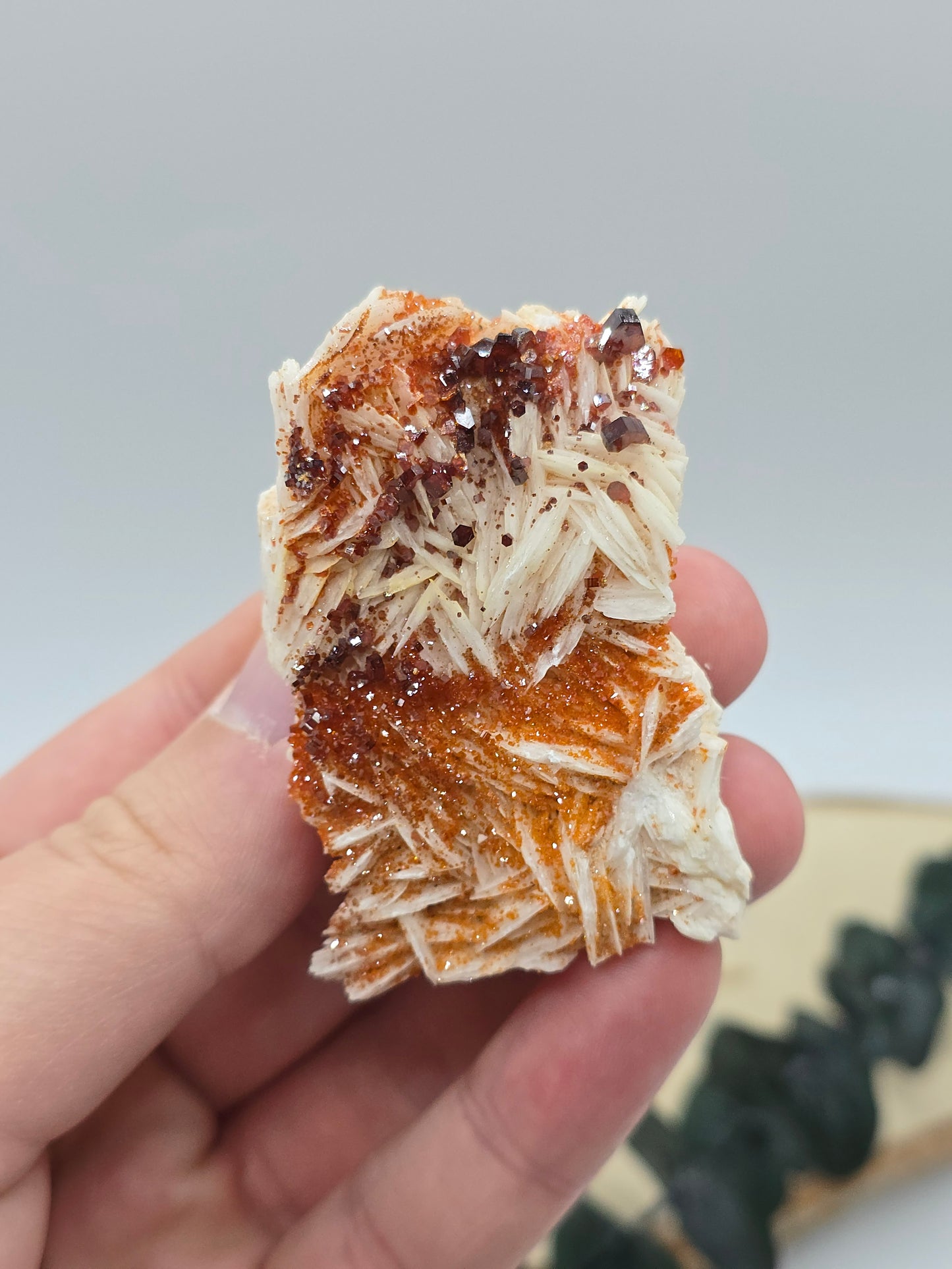 Vanadinit auf Baryt aus Marokko 🔥 21 – 68€