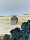 Gartenquarz Totenkopf 💀