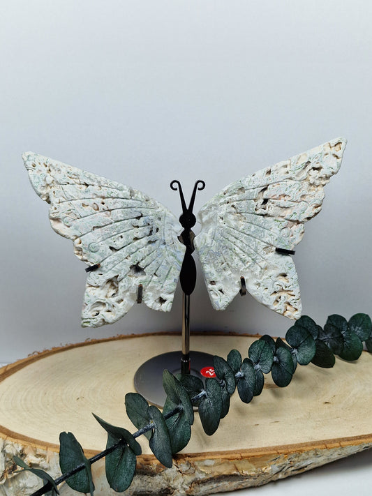 Moosachat Schmetterling 🦋 25