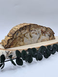 Versteinertes Holz 🌳 VM80
