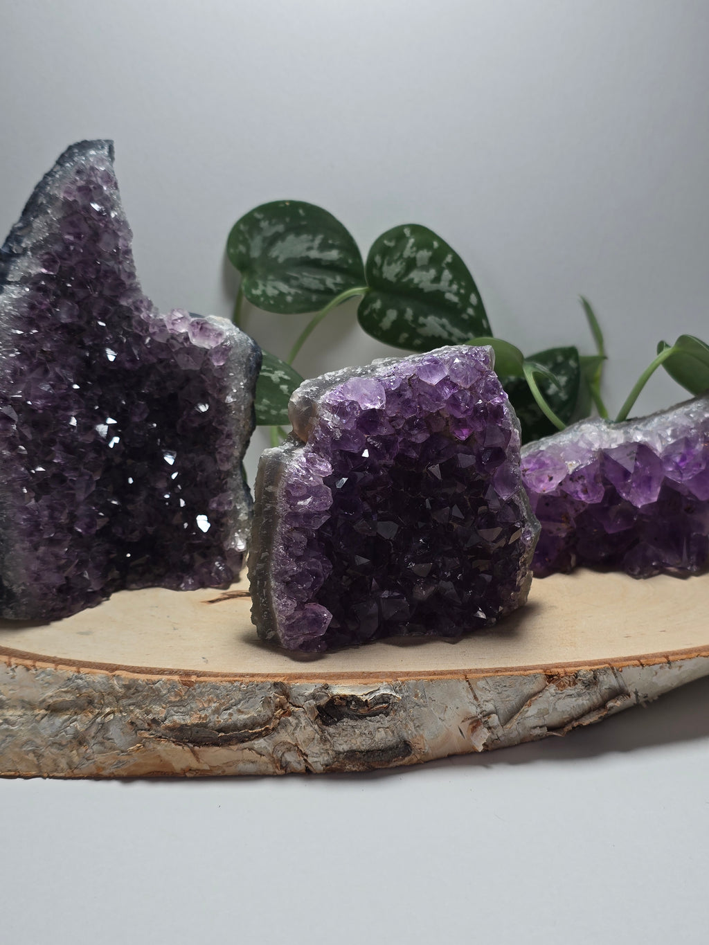 Amethyst Cutbases 💜