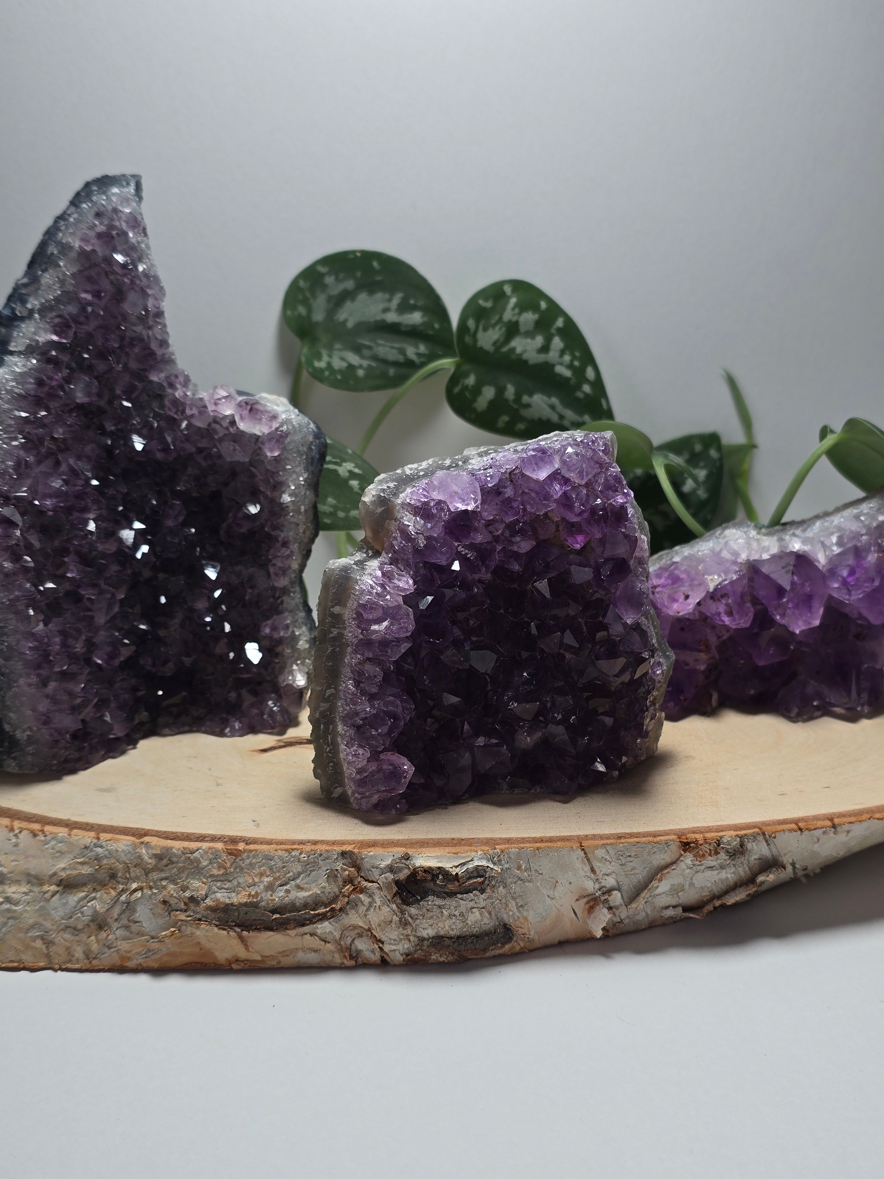 Amethyst Cutbases 💜