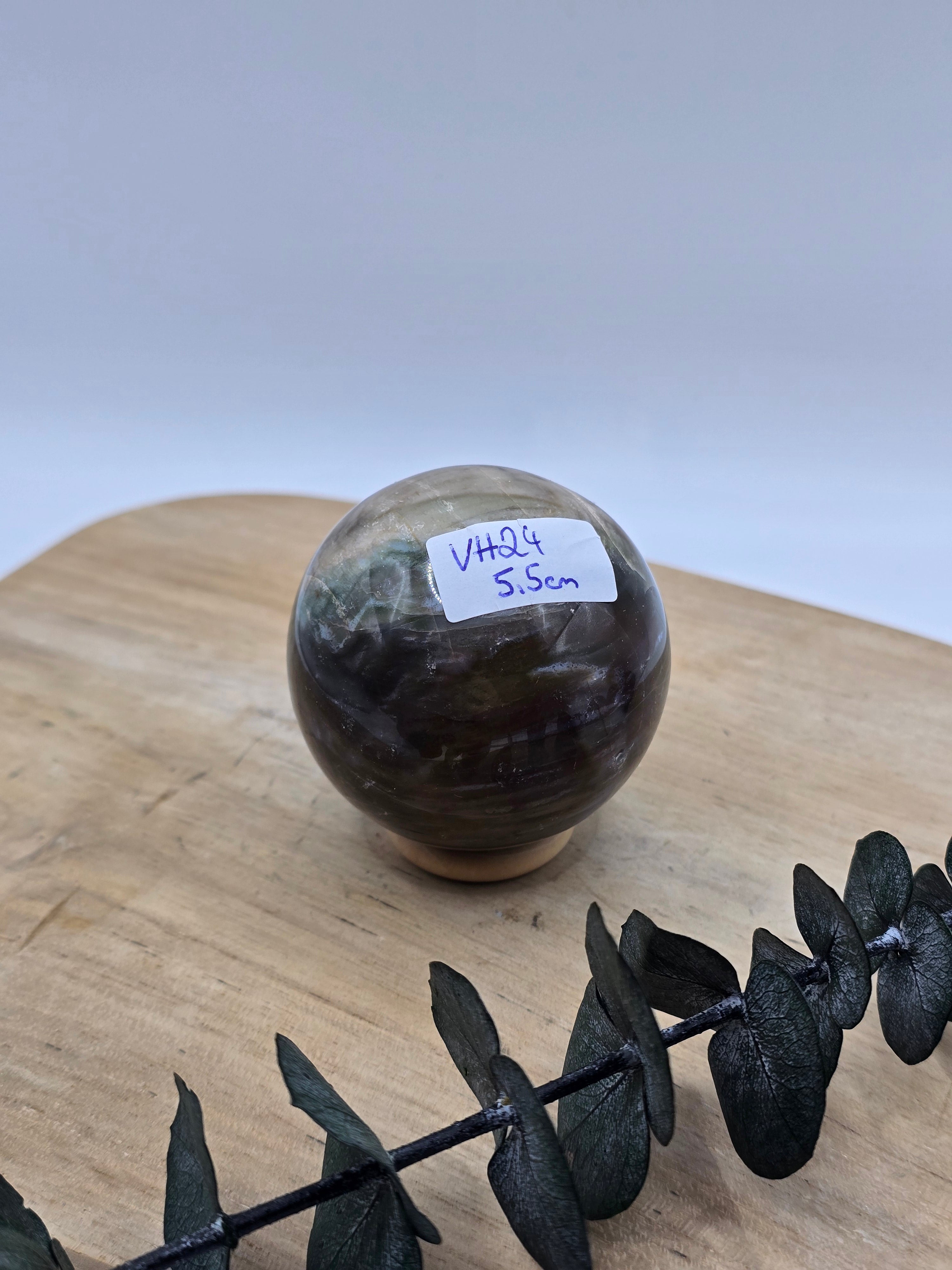 Versteinertes Holz Kugel 🪵 VH24