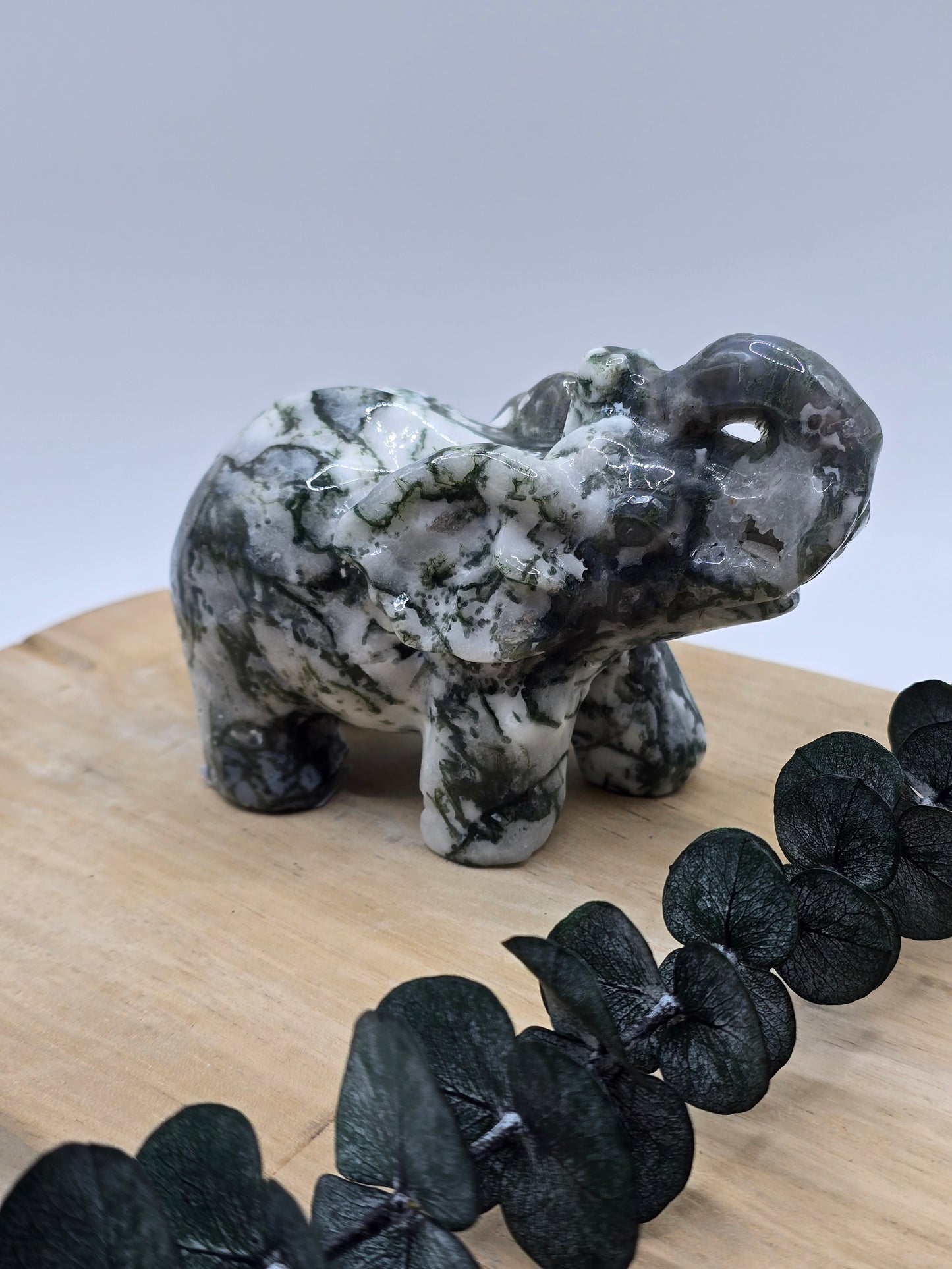 Moosachat Elefant 🍃 BQ86