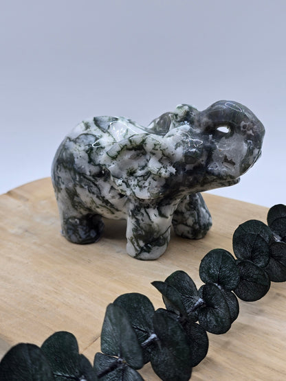 Moosachat Elefant 🍃 BQ86