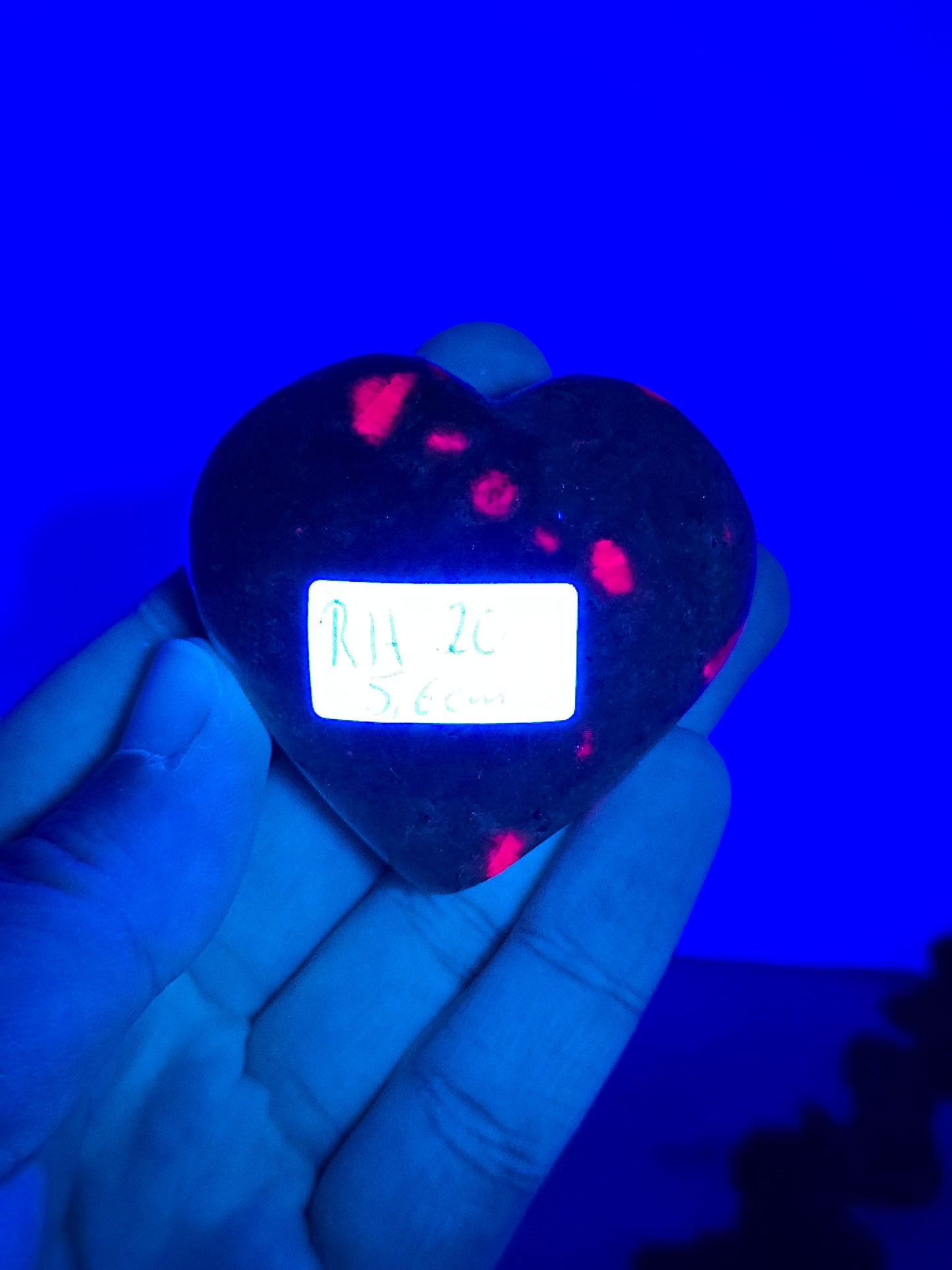 Rubin in Fuchsit Herz 💚 RH20